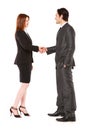 Businessman and businesswoman shaking hands Royalty Free Stock Photo