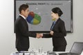 Businessman and businesswoman shaking hands. Conceptual image