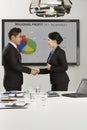 Businessman and businesswoman shaking hands. Conceptual image