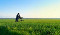 Businessman carries an office chair in a field to work, freelance and business concept, green grass and blue sky as background