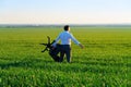 Businessman carries an office chair in a field to work, freelance and business concept, green grass and blue sky as background