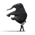 Businessman carrying big elephant - isolated Royalty Free Stock Photo