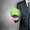 Businessman carrying green sapling with soil inside the sphere