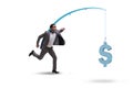 The businessman chasing money on fishing rod Royalty Free Stock Photo