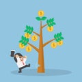 Businessman cutting tree of money Royalty Free Stock Photo