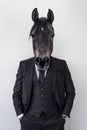 Businessman dressed in a suit with a horse head. Concept of a working horse