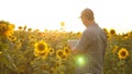 Businessman in field analyzes their income. agronomist studies crop of a sunflower. A farmer man works with a tablet in