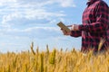 Businessman is on a field of ripe wheat and is holding a Tablet computer. Royalty Free Stock Photo