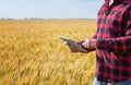 Businessman is on a field of ripe wheat and is holding a Tablet computer.