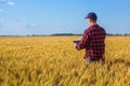 Businessman is on a field of ripe wheat and is holding a Tablet computer. Royalty Free Stock Photo