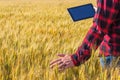 Businessman is on a field of ripe wheat and is holding a Tablet computer. Royalty Free Stock Photo