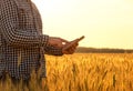 Businessman is on a field of ripe wheat and is holding a Tablet computer.