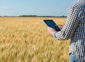 Businessman is on a field of ripe wheat and is holding a Tablet computer. Royalty Free Stock Photo