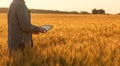 Businessman is on a field of ripe wheat and is holding a Tablet computer.