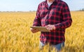 Businessman is on a field of ripe wheat and is holding a Tablet computer Royalty Free Stock Photo