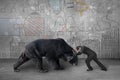 Businessman fighting against black bear with business concept do