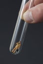 Businessman figurine inside a test tube
