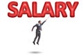 The businessman flying in salary concept Royalty Free Stock Photo