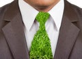 Businessman formal suit with grass tie