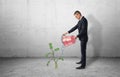 Businessman full-height in profile holding red bucket with water pouring out of it on money tree Royalty Free Stock Photo