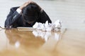 businessman with hand on head in office - upset, frustrate, stress concept