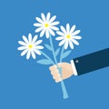 Businessman hand holding bouquet of pink chamomile daisy camomile flower set. Cute cartoon man character. Flat design. Isolated.