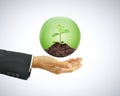 Businessman hand holding green sapling with soil in the globe