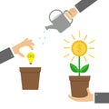 Businessman hand holding money tree, watering can, idea bulb. Coin dollar sign Plant in the pot. Three step infographic. Financial Royalty Free Stock Photo