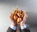 Businessman hands displaying organic eggs for concept of humanity preservation