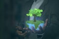 Businessman hands holding the earth with growing plants. nature, saving the world and many more. eco, Earth day concept Royalty Free Stock Photo