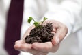 Businessman hands holding green tree. Royalty Free Stock Photo