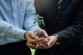 Businessman hands holding young plant.World environment day. Global community teamwork.Volunteer charity work Royalty Free Stock Photo