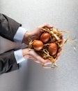Businessman hands offering organic eggs for agriculture and nutrition business Royalty Free Stock Photo