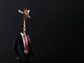 Businessman with head of Giraffe Royalty Free Stock Photo