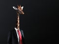 Businessman with head of Giraffe Royalty Free Stock Photo