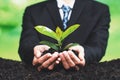 Businessman hold young seedling on fertile soil for forest regeneration. Alter Royalty Free Stock Photo