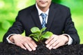 Businessman hold young seedling on fertile soil for forest regeneration. Alter Royalty Free Stock Photo