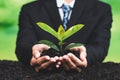 Businessman hold young seedling on fertile soil for forest regeneration. Alter Royalty Free Stock Photo