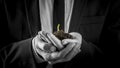 Businessman holding a germinating plant