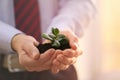 Businessman holding green seedling with soil, closeup Royalty Free Stock Photo