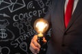 Businessman holding lightbulb in hand Royalty Free Stock Photo