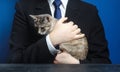 Businessman holds a cat. Bring your pet to work. Relaxation and antistress. Love for animals, cat lover. Boss is also an ordinary