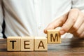 Businessman holds wooden blocks with the word Team. Team management concept. Teamwork. Hiring. Recruitment staff. Work in