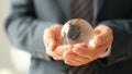 Businessman in jacket holding glass ball with world map closeup Royalty Free Stock Photo