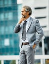 businessman man business senior building office mature portrait suit entrepreneur fashion model gray grey hair career Royalty Free Stock Photo