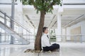 Businessman Meditating Under Tree In Office