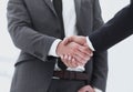 Bussines hand shaking will show succesful cooperation.