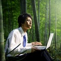 Businessman Outdoor working forest Inspiration Concept