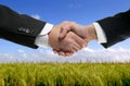 Businessman partners shaking hands in nature Royalty Free Stock Photo