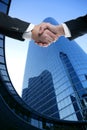 Businessman partners shaking hands with suit